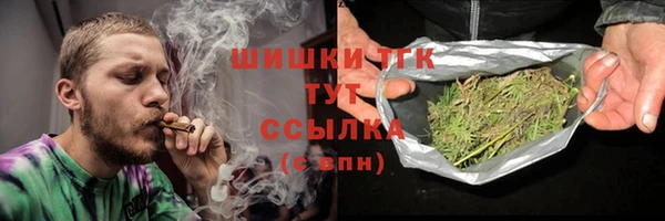 spice Аркадак