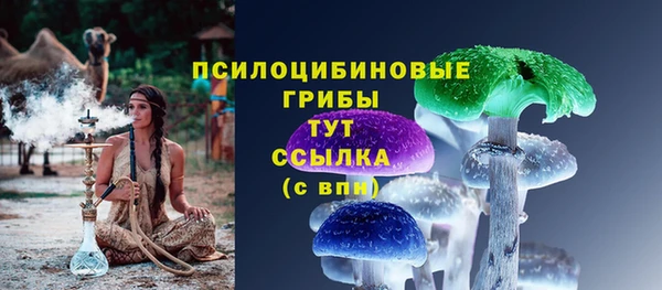 МДПВ Армянск
