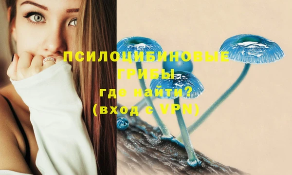 spice Аркадак