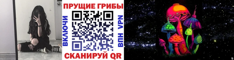 Псилоцибиновые грибы GOLDEN TEACHER Камешково