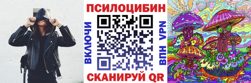 Псилоцибиновые грибы мицелий  купить наркотики цена  ссылка на мегу tor  Камешково 